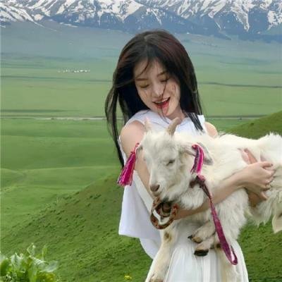 圣诞奇妙公司