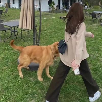 不寻常